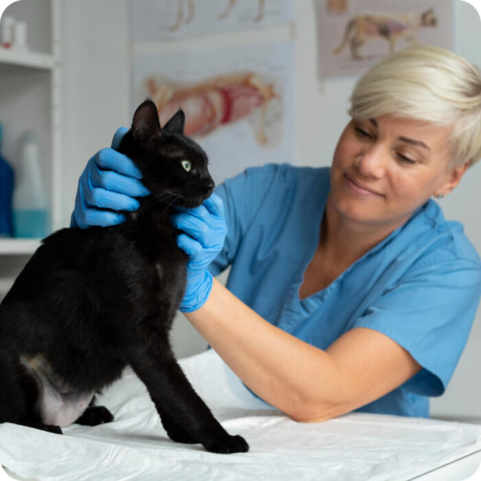 Dr Horváth Daniella